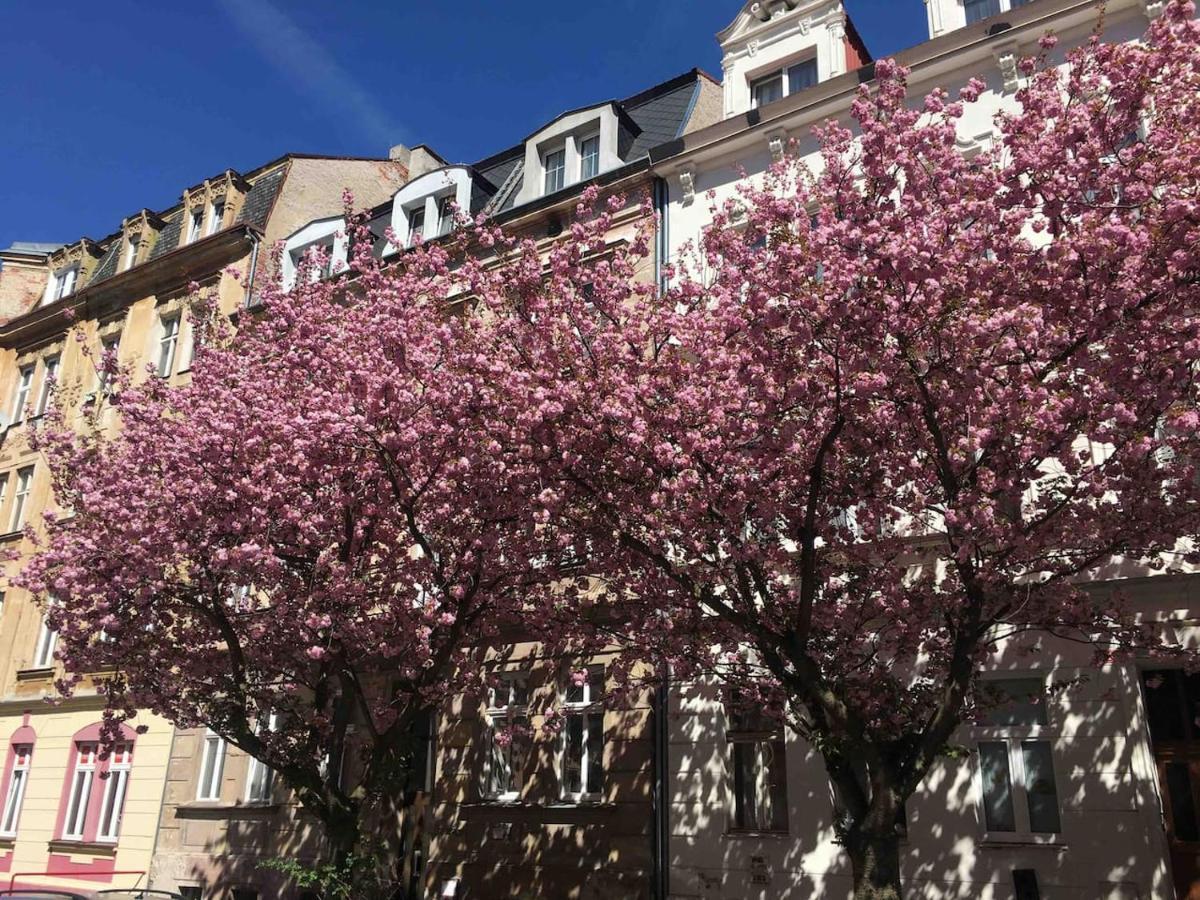 Apartmany Jizdarenska 卡罗维发利 外观 照片